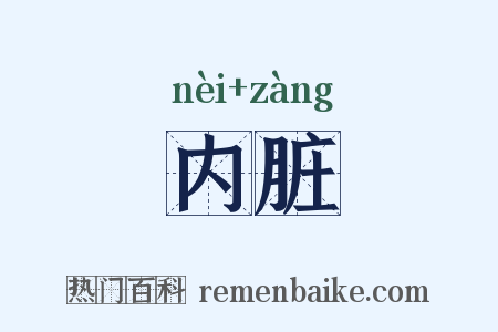 内脏是什么意思的图片